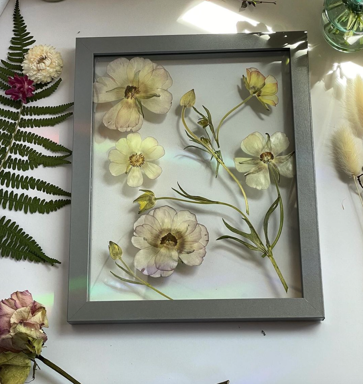 Pressed Flowers