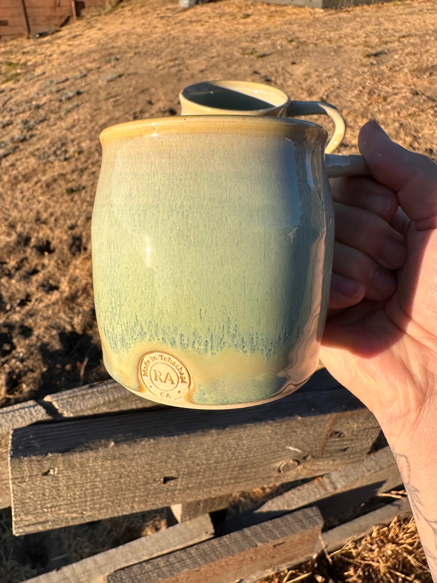 Seafoam Green Mug